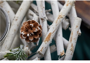 Macro shot of natural pinecone with snow effect on white wooden base for Christmas