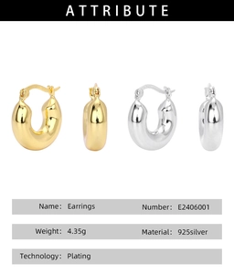 Detail view of gold and silver plated S925 sterling silver hoop earrings with specifications