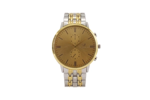 Detailed view of ORLANDO two-tone gold and silver quartz watch with brushed metal dial