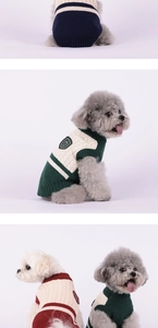 Close-up of cable knit texture and cartoon bear patch on a multi-color dog sweater