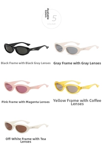 Detailed view of oval vintage sunglasses in five color variants with thick PC frames