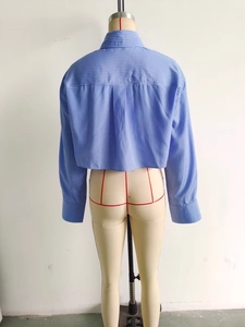Detail of blue and white striped cropped shirt featuring back pleats and long sleeves