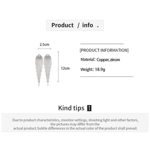 Detail info of zircon geometric tassel earrings showing 12cm length and 2.5cm width