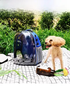 Close-up of blue pet carrier backpack with transparent bubble window on grass