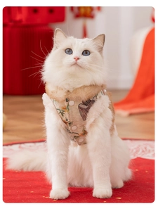 Detail of traditional Chinese embroidery and plush lining on a beige pet vest