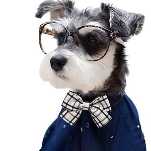 Detail of dog wearing blue floral shirt, plaid bowtie, and leopard print glasses