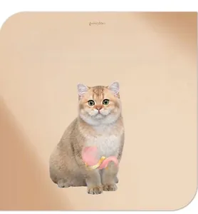 Complément digestif pour chat illustrant le soulagement de l'estomac et l'effet cataire