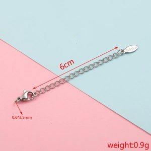 Detailed view of 6cm stainless steel extender chain with lobster clasp and leaf charm