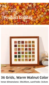 Macro detail of warm walnut 36-grid wood frame for autumn leaf specimen display