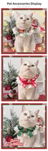 Detailed view of cat wearing Christmas lace collars with Santa and reindeer motifs