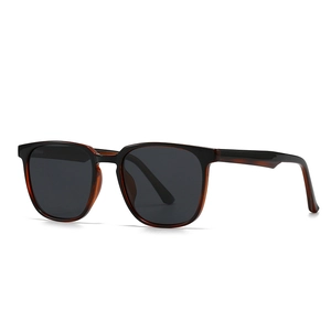 Lunettes de soleil polarisées carrées classiques en écaille de tortue pour hommes et femmes
