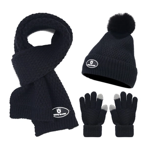 Detail view of winter knit set including black pom-pom beanie, scarf, and touch gloves