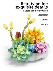 Detailed close-up of succulent building block bonsai with various colorful plant parts