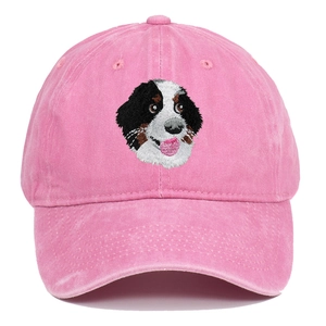 Casquette De Baseball Broderie Bouvier Bernois Coton Lavé Chapeau Papa Distressed Protection Solaire Extérieur Hip Hop