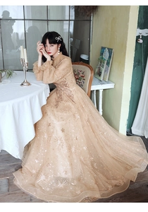Close-up of champagne evening dress with sparkling star sequins and French lace collar