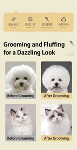 Dettaglio dei risultati della toelettatura con una spazzola per pelo di animali soffice