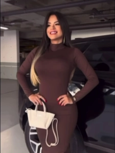 Slim fit dark brown long sleeve bodycon dress with chic high collar design