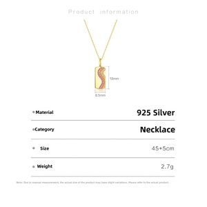 Detail view of S925 silver necklace with size 18x8.5mm and 45cm plus 5cm chain length