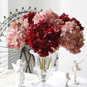 Detail of vintage burnt edge hydrangea bouquet in clear glass vase for home decor