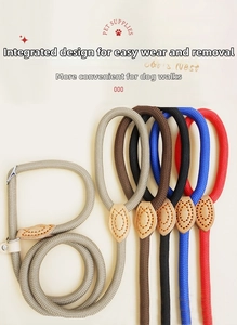 Polyester braided slip lead set for small dogs with leather reinforcement and metal buckles