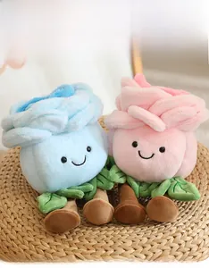 Close-up of pink and blue plush rose flowers with cute faces in a woven tray