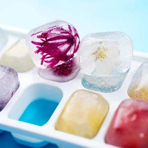 14-grid square ice cube tray with lid and colorful floral fruit ice cubes
