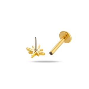 Classic G23 titanium gold star stud earring with flat back push-pin design on white background