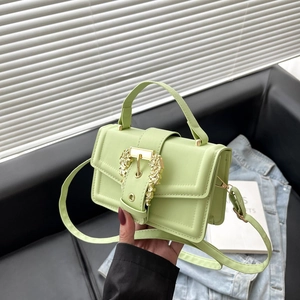 Minimalist light green pistachio shoulder bag with golden lion head buckle detail