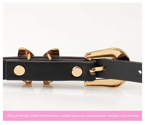Macro shot of a black leather belt featuring a polished gold alloy pin buckle and metal studs