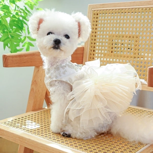 Elegant white lace dog wedding dress with mesh skirt for small pets on a vintage chair