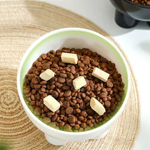 Bol surélevé blanc pour chats avec croquettes et friandises lyophilisées sur un tapis