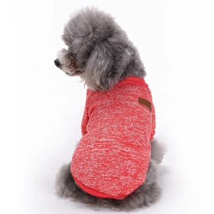 Nahaufnahme von rot-weißem Strickpullover mit Schneeflocken an einem weißen Pudel