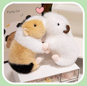 Close-up of tricolor and white stuffed guinea pig plush toys hugging on a box