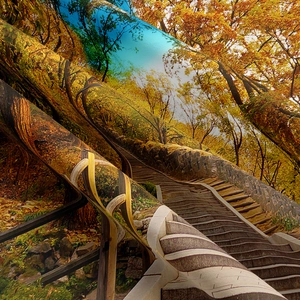Detailed texture of forest path tapestry showing thick polyester fabric and autumn print
