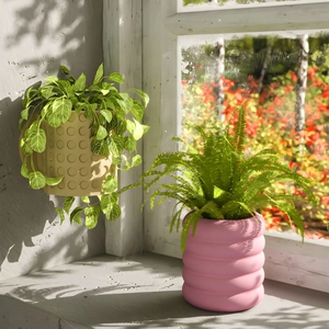 Moules en résine pour pots muraux et de table avec décor de succulentes fini