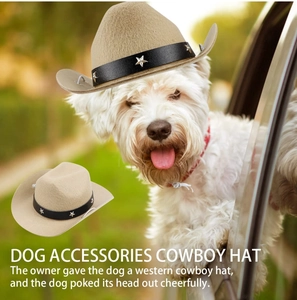Close-up of khaki pet cowboy hat with silver star rivets on felt fabric for dogs