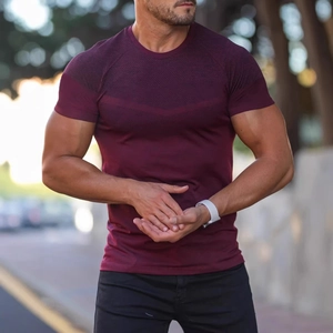 Men's Sports T-Shirt Slim Fit Quick Dry Breathable Mesh Gym Fitness Short Sleeve Round Neck High Stretch Workout Top