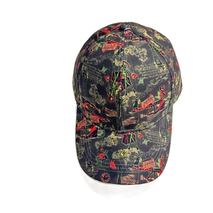 Close-up of baseball cap featuring colorful Eiffel Tower and rose floral pattern