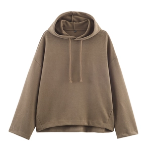 Close-up of brown hoodie drawstring hood and shoulder details on white background