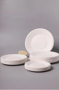 Detailed texture of biodegradable sugarcane pulp plates in various sizes stacked neatly