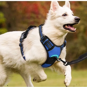 Blue reflective dog harness and leash set for medium large dogs on outdoor grass
