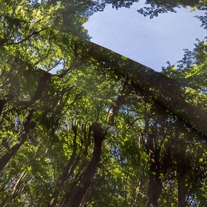 Dettaglio della realistica stampa forestale e della morbida trama di questo arazzo