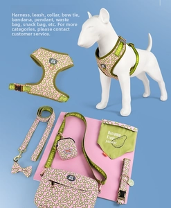 Detail of avocado print pet accessory set with harness and leash on dog model