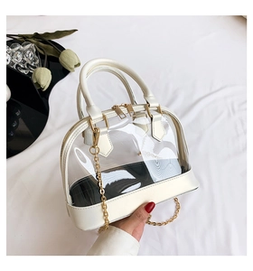 Macro detail of transparent PVC shell bag with white leather trim and gold chain strap
