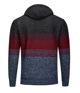 Vista posteriore del maglione con cappuccio in maglia da uomo con design color block a tre colori