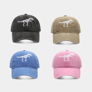 Casquette De Baseball Vintage Broderie Squelette De Dinosaure Coton Lavé Ajustable Rétro Chapeau De Protection Solaire Unisexe