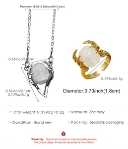 Detailweergave van de gotische schedelketting en ring set met materiaalafmetingen