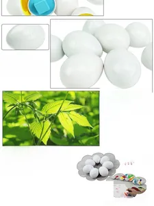 Detailansicht der Eierspielzeuge aus ABS mit geometrischen Formen und Farben zum Sortieren