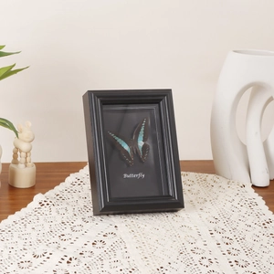 Modern black square wood frame with a blue and black butterfly specimen display