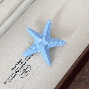 Detail of light blue starfish hair clip with realistic texture on a jewelry box